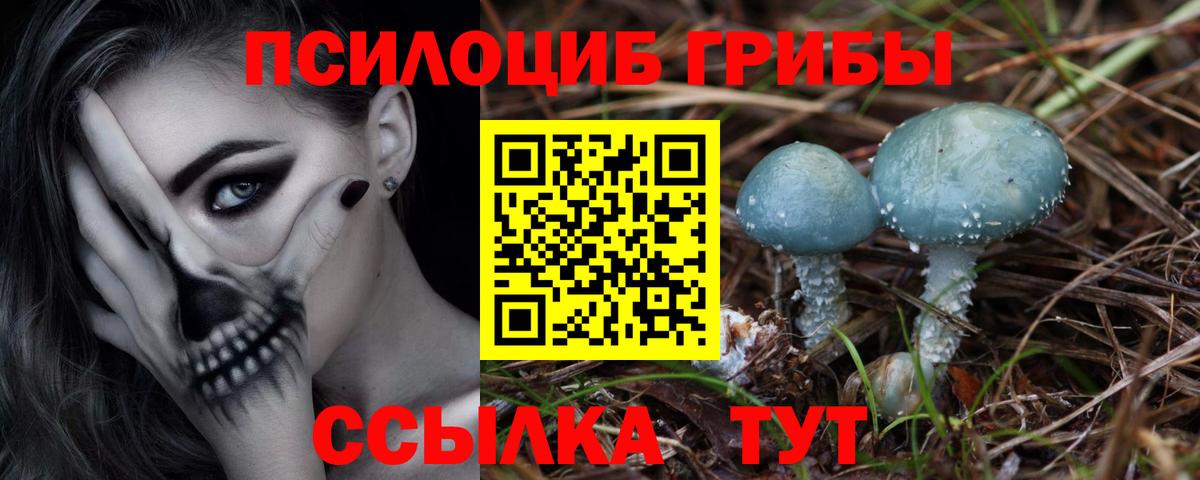 Галлюциногенные грибы MAGIC MUSHROOMS  Вход с VPN  Норильск 