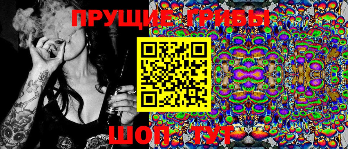 Галлюциногенные грибы Psilocybe Норильск